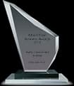 Albert Eden Business Awards 2019 trophy