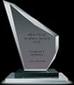 Albert Eden Business Awards 2020 trophy